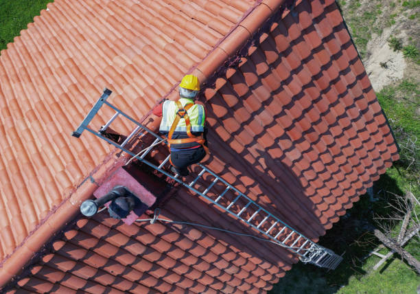 Best Asphalt Shingles Roofing  in Venersborg, WA